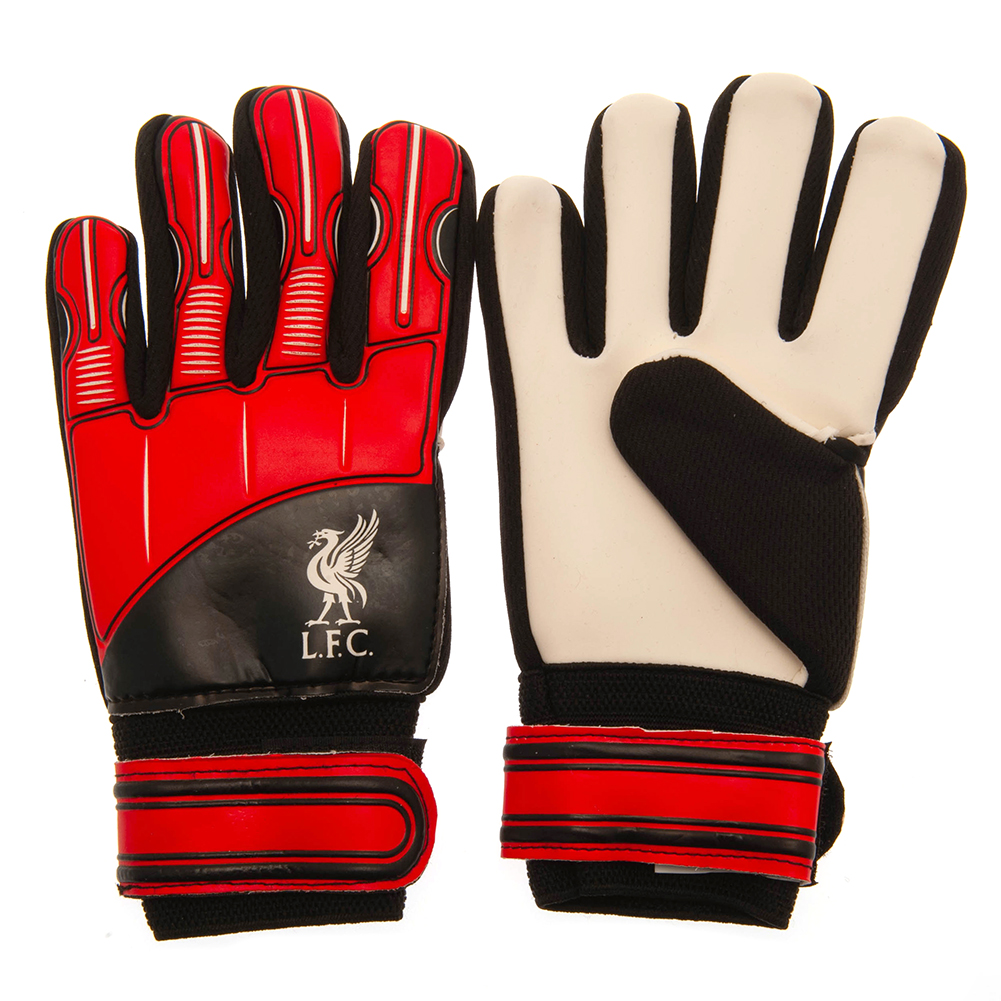 Gloves & Shin Pads